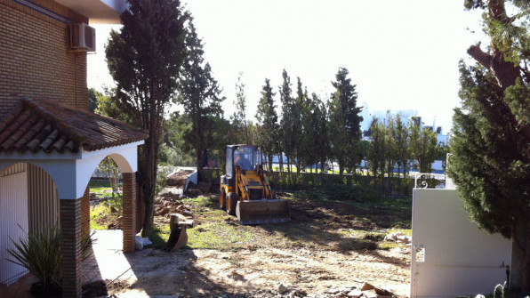 LAS VIOLETAS EL PORTIL. HUELVA