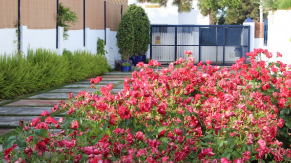 EL CERRITO. PUNTA UMBRÍA (HUELVA)