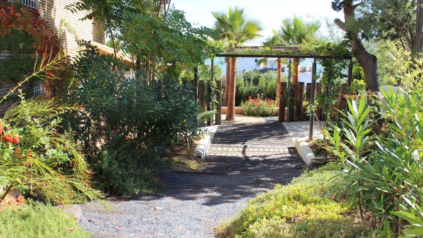 LAS VIOLETAS EL PORTIL. HUELVA