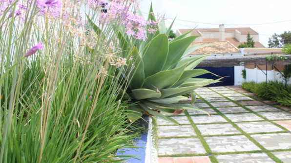 EL CERRITO. PUNTA UMBRÍA (HUELVA)