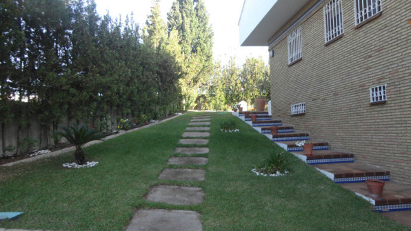 LAS VIOLETAS EL PORTIL. HUELVA