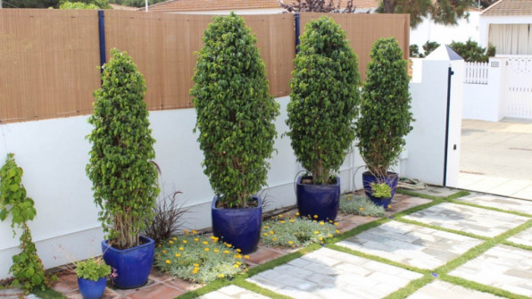 EL CERRITO. PUNTA UMBRÍA (HUELVA)