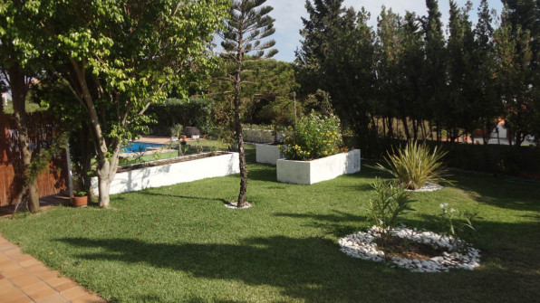 LAS VIOLETAS EL PORTIL. HUELVA