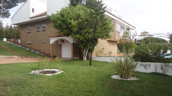 LAS VIOLETAS EL PORTIL. HUELVA