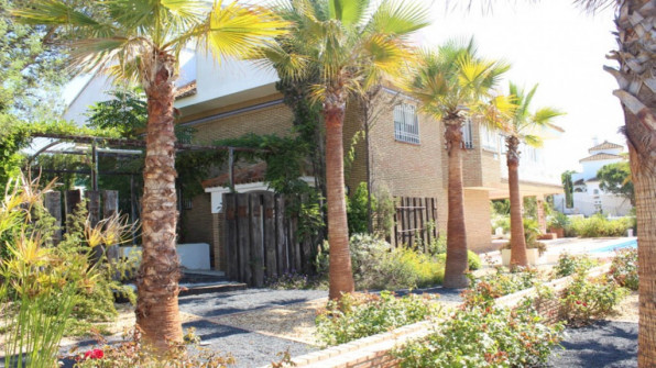 LAS VIOLETAS EL PORTIL. HUELVA