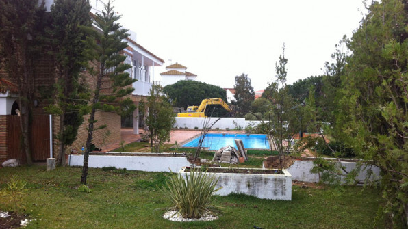 LAS VIOLETAS EL PORTIL. HUELVA