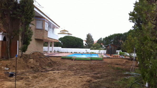 LAS VIOLETAS EL PORTIL. HUELVA