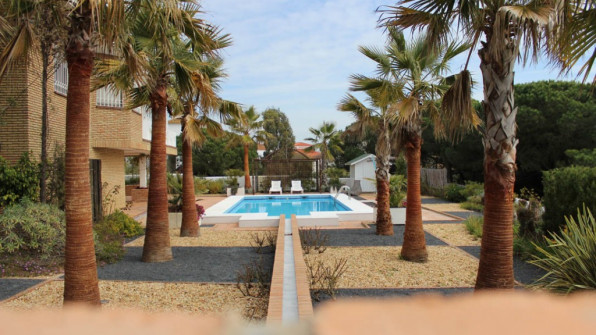 LAS VIOLETAS EL PORTIL. HUELVA