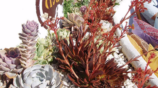 MANDALA Mirador - Lounge - Bar