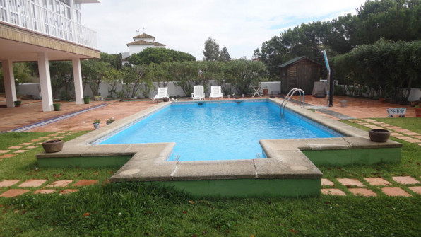 LAS VIOLETAS EL PORTIL. HUELVA