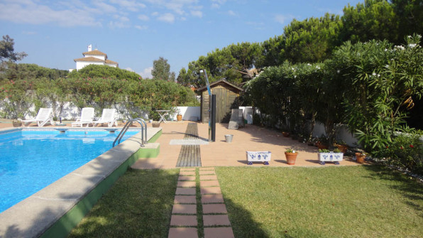 LAS VIOLETAS EL PORTIL. HUELVA