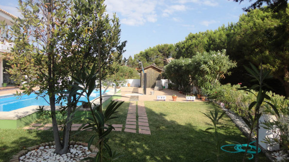 LAS VIOLETAS EL PORTIL. HUELVA