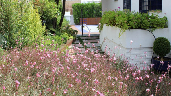 EL CERRITO. PUNTA UMBRÍA (HUELVA)