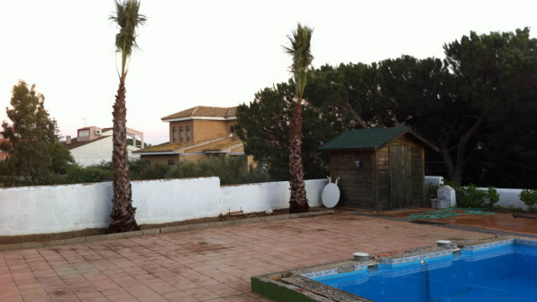 LAS VIOLETAS EL PORTIL. HUELVA