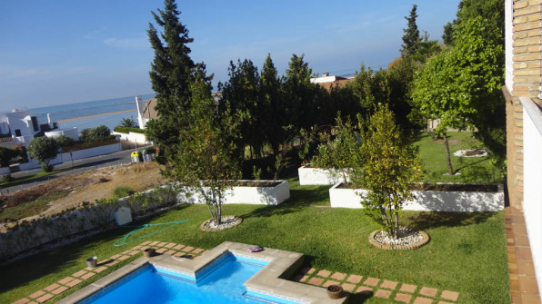 LAS VIOLETAS EL PORTIL. HUELVA