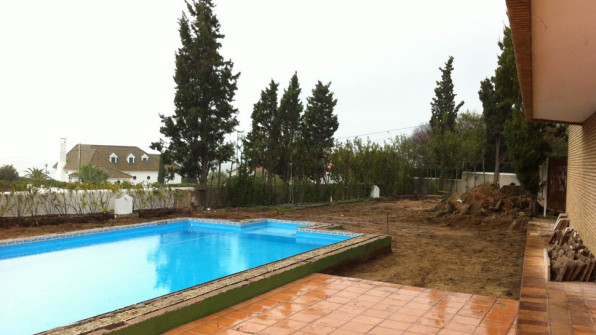 LAS VIOLETAS EL PORTIL. HUELVA