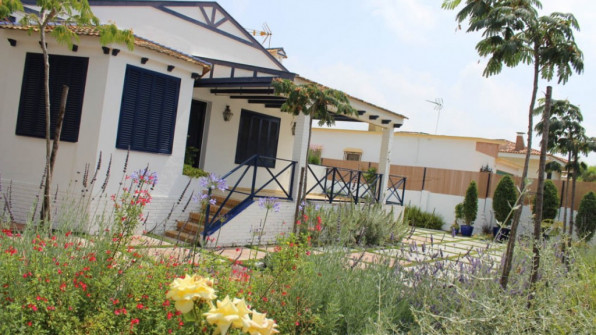 EL CERRITO. PUNTA UMBRÍA (HUELVA)