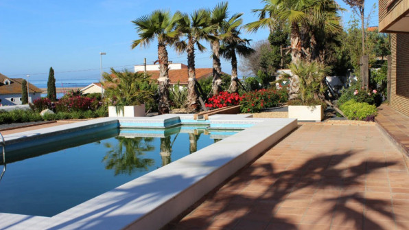 LAS VIOLETAS EL PORTIL. HUELVA