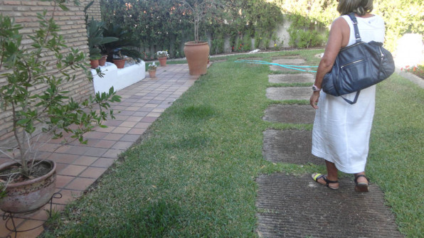 LAS VIOLETAS EL PORTIL. HUELVA