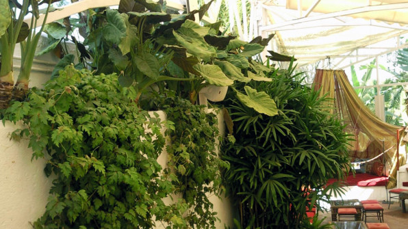 MANDALA Mirador - Lounge - Bar