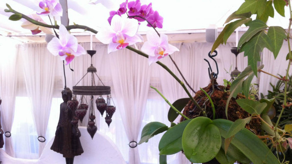 MANDALA Mirador - Lounge - Bar