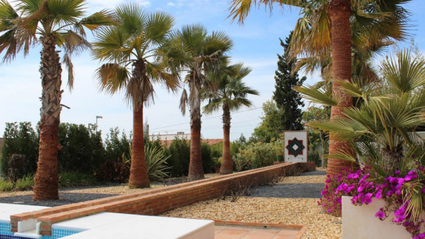 LAS VIOLETAS EL PORTIL. HUELVA