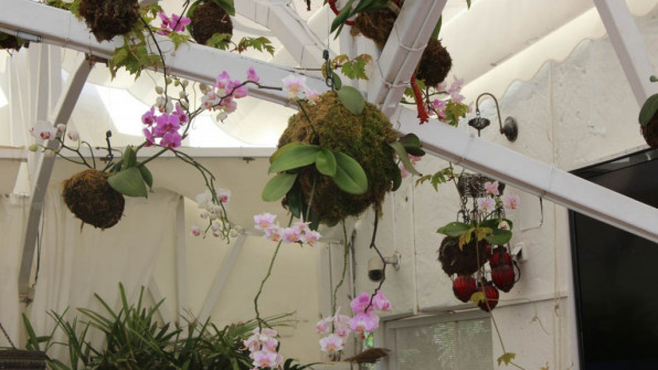 MANDALA Mirador - Lounge - Bar