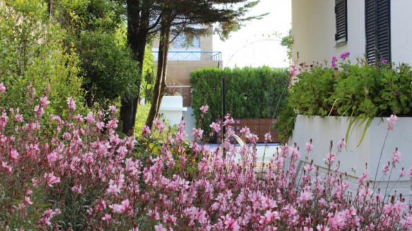 EL CERRITO. PUNTA UMBRÍA (HUELVA)