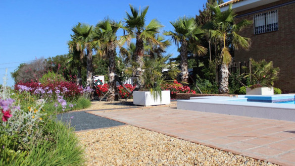 LAS VIOLETAS EL PORTIL. HUELVA