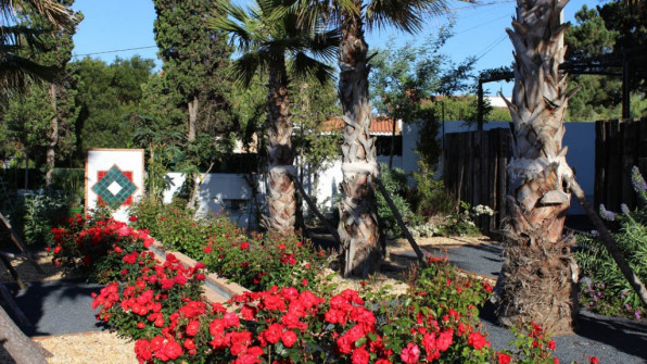 LAS VIOLETAS EL PORTIL. HUELVA
