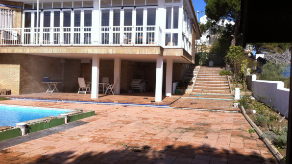 LAS VIOLETAS EL PORTIL. HUELVA