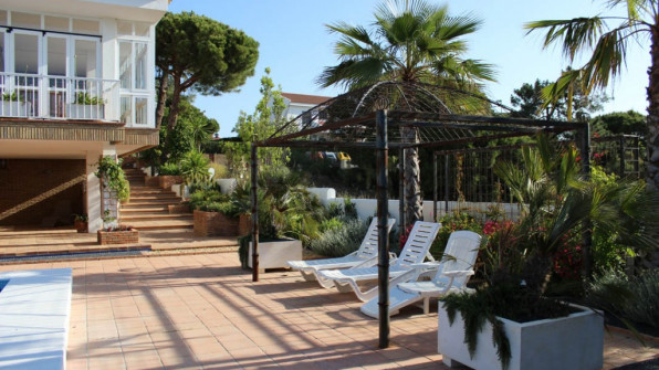 LAS VIOLETAS EL PORTIL. HUELVA