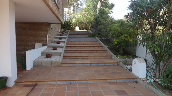 LAS VIOLETAS EL PORTIL. HUELVA