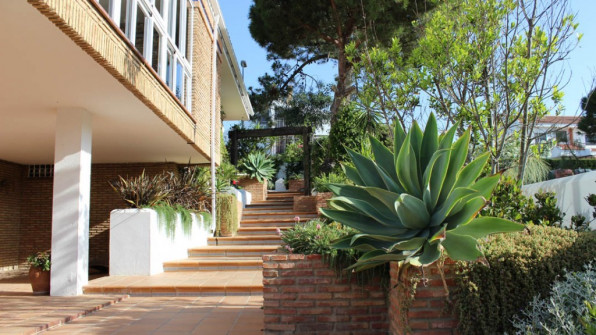 LAS VIOLETAS EL PORTIL. HUELVA