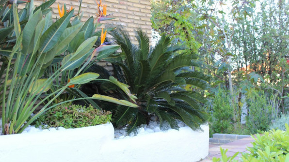 LAS VIOLETAS EL PORTIL. HUELVA