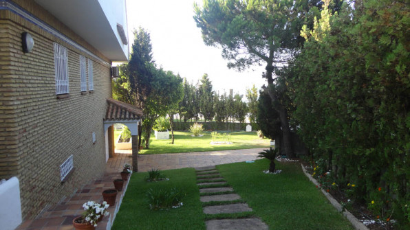 LAS VIOLETAS EL PORTIL. HUELVA