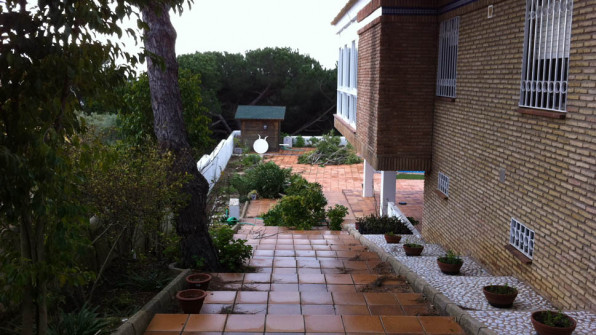 LAS VIOLETAS EL PORTIL. HUELVA