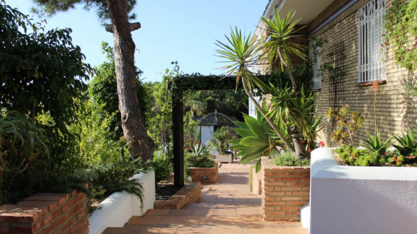 LAS VIOLETAS EL PORTIL. HUELVA