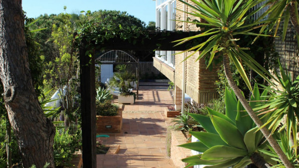 LAS VIOLETAS EL PORTIL. HUELVA