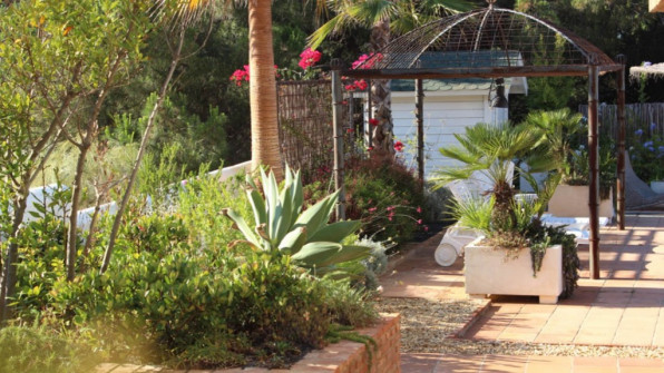 LAS VIOLETAS EL PORTIL. HUELVA