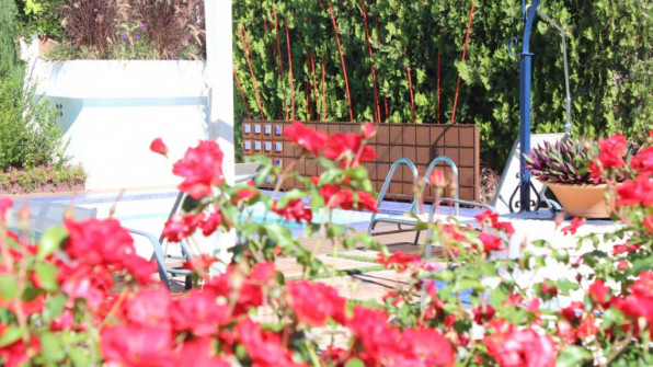 EL CERRITO. PUNTA UMBRÍA (HUELVA)