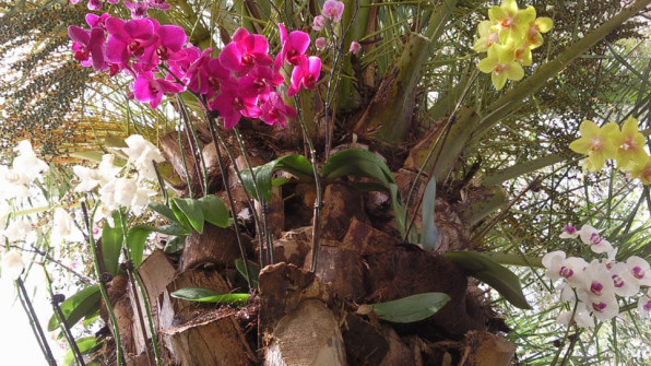 MANDALA Mirador - Lounge - Bar