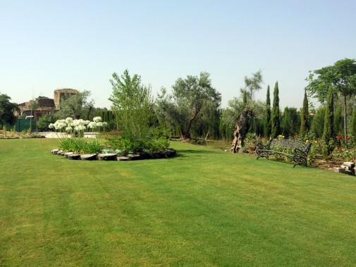 Juan José Fernández - Jardinería y Paisajismo - Huelva