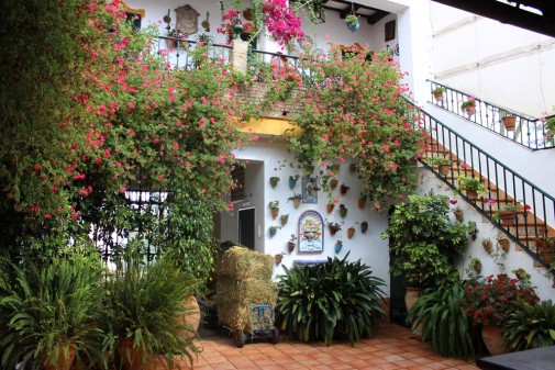 Juan José Fernández - Jardinería y Paisajismo - Huelva