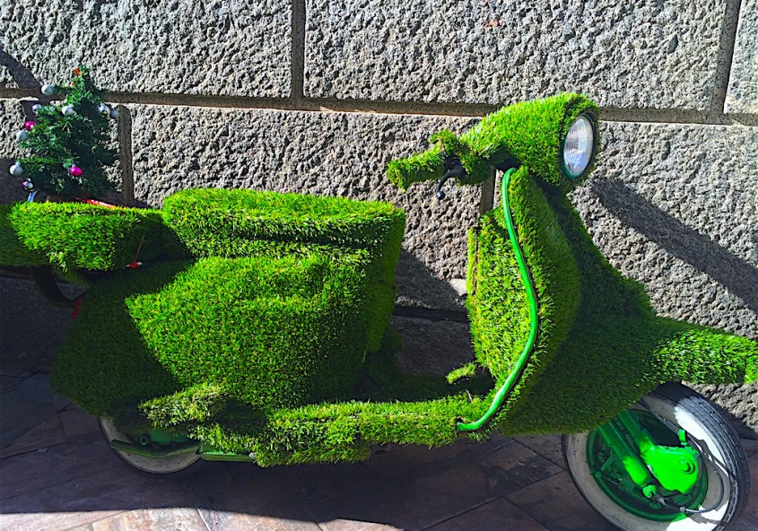 Juan José Fernández - Jardinería y Paisajismo - Huelva